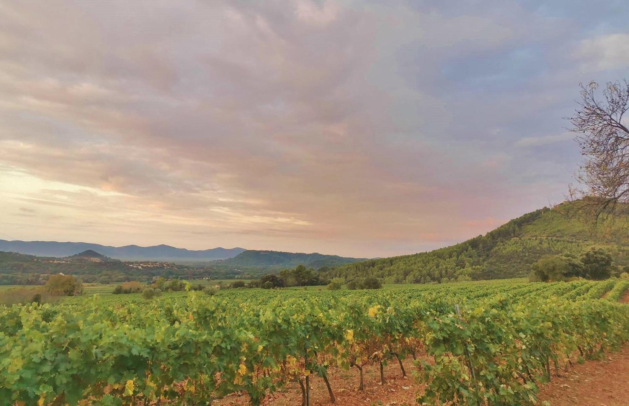 Le Nid En Chante Vue Panoramique Les Arcs-sur-Argens Esterno foto