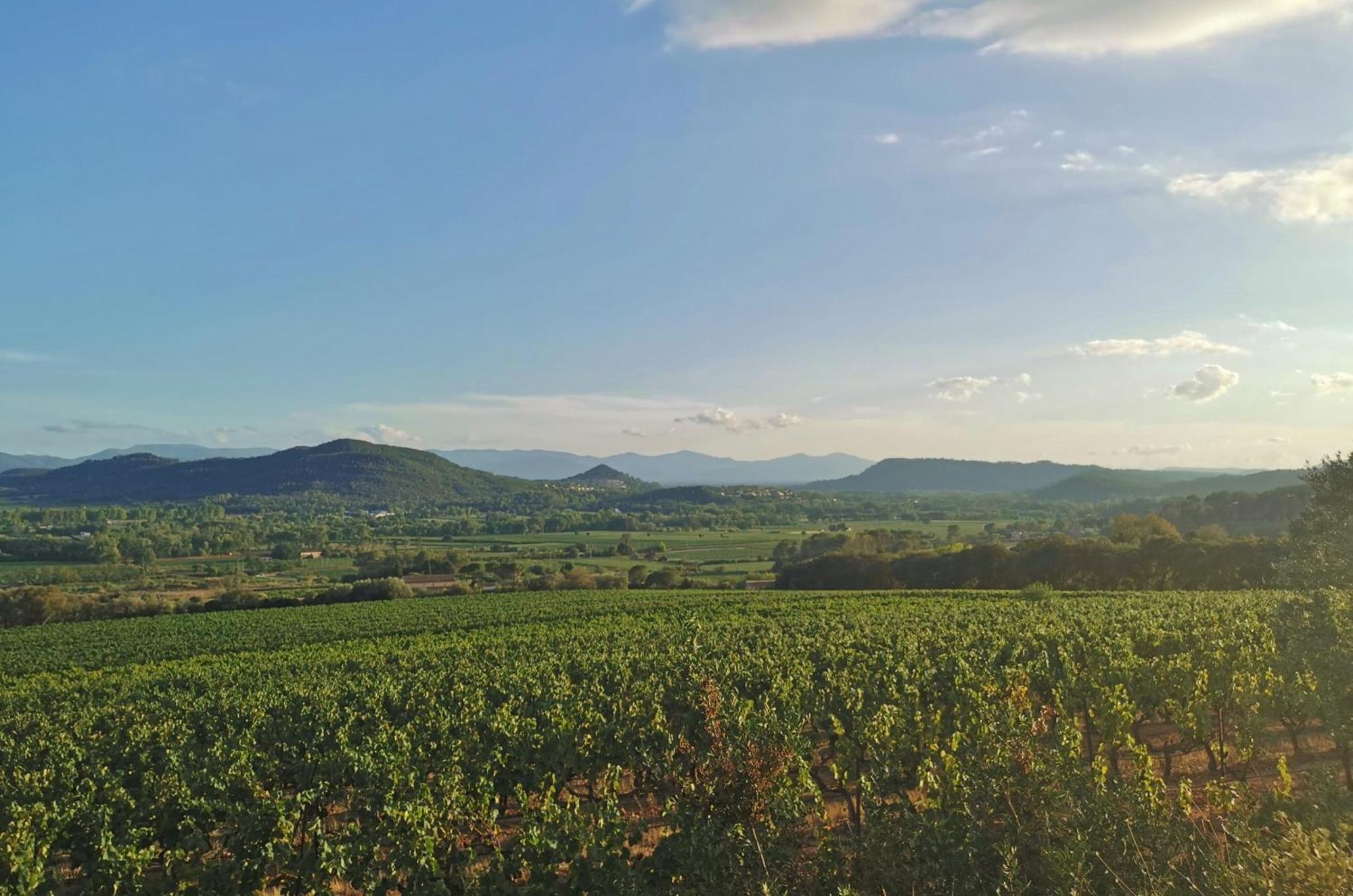 Le Nid En Chante Vue Panoramique Les Arcs-sur-Argens Esterno foto